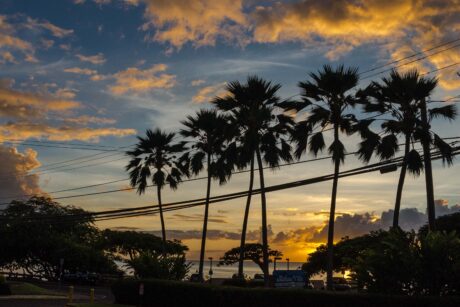 Kaanapali Royal F303