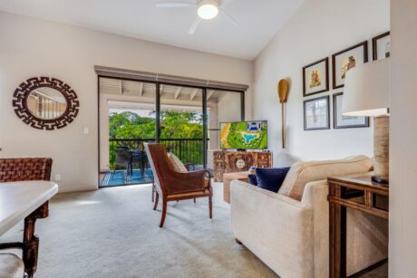 Wailea Ekahi 3D